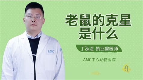 被老鼠咬到|被老鼠咬了怎么办？这些科学处理方法你知道吗？